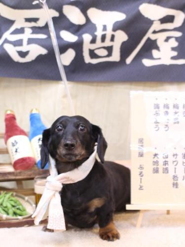 20240615らんちゃん